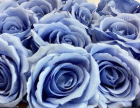 DIY Bridesmaid Bouquet