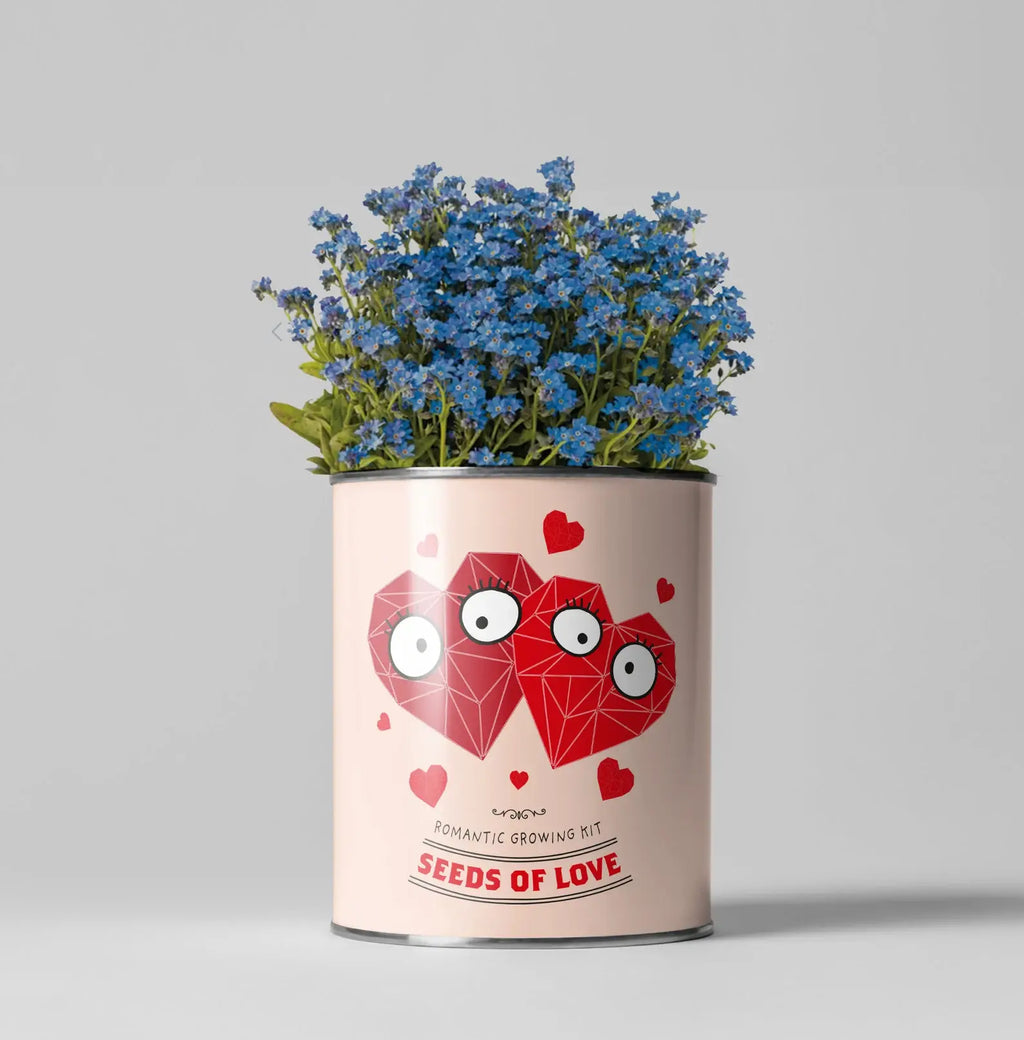 Retailer Starter 4 Pack. Cacti, Bee Flowers, Tea and Love.