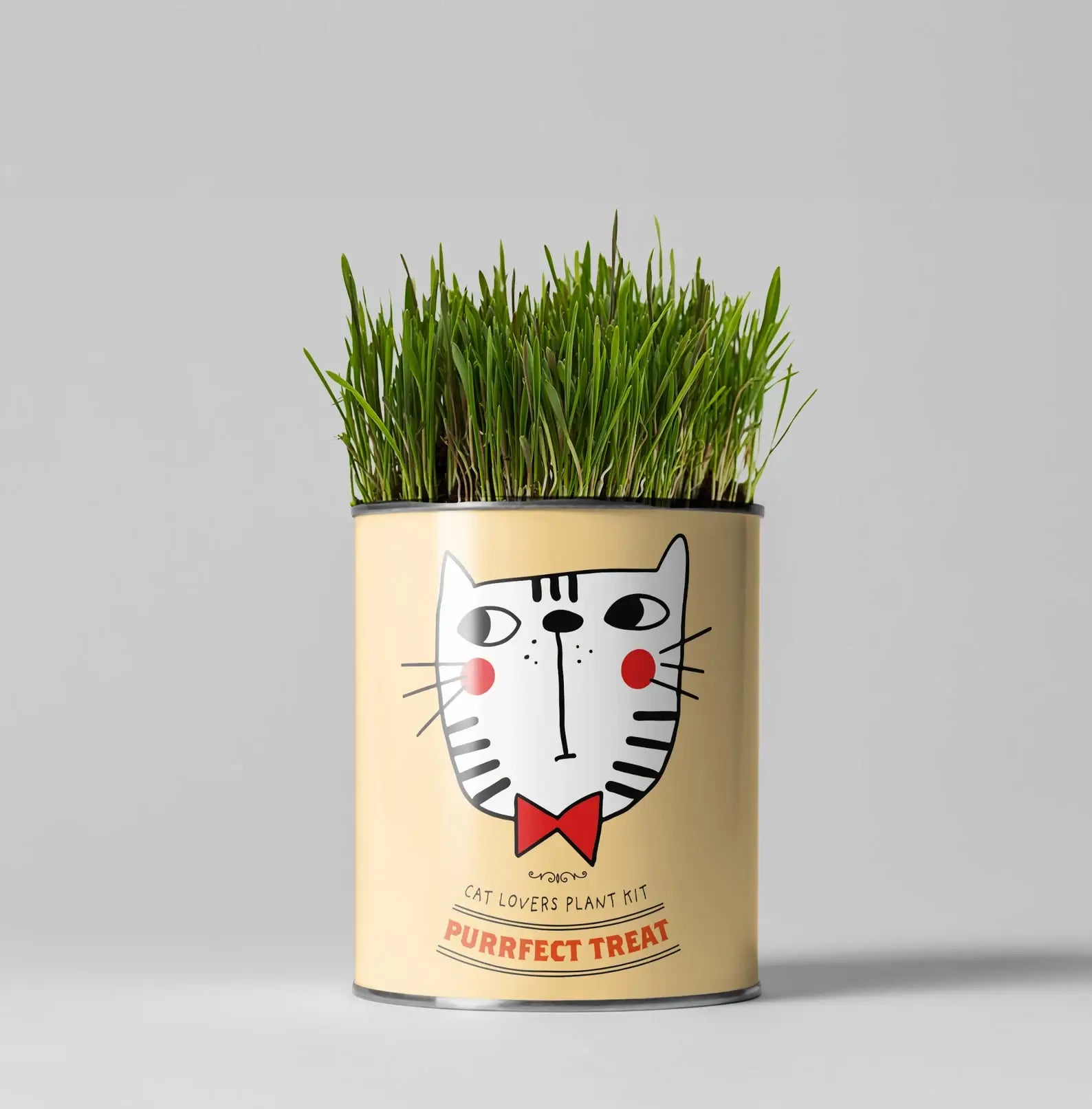 Retailer starter 4 pack Chilli, Cat, Flower and Herb