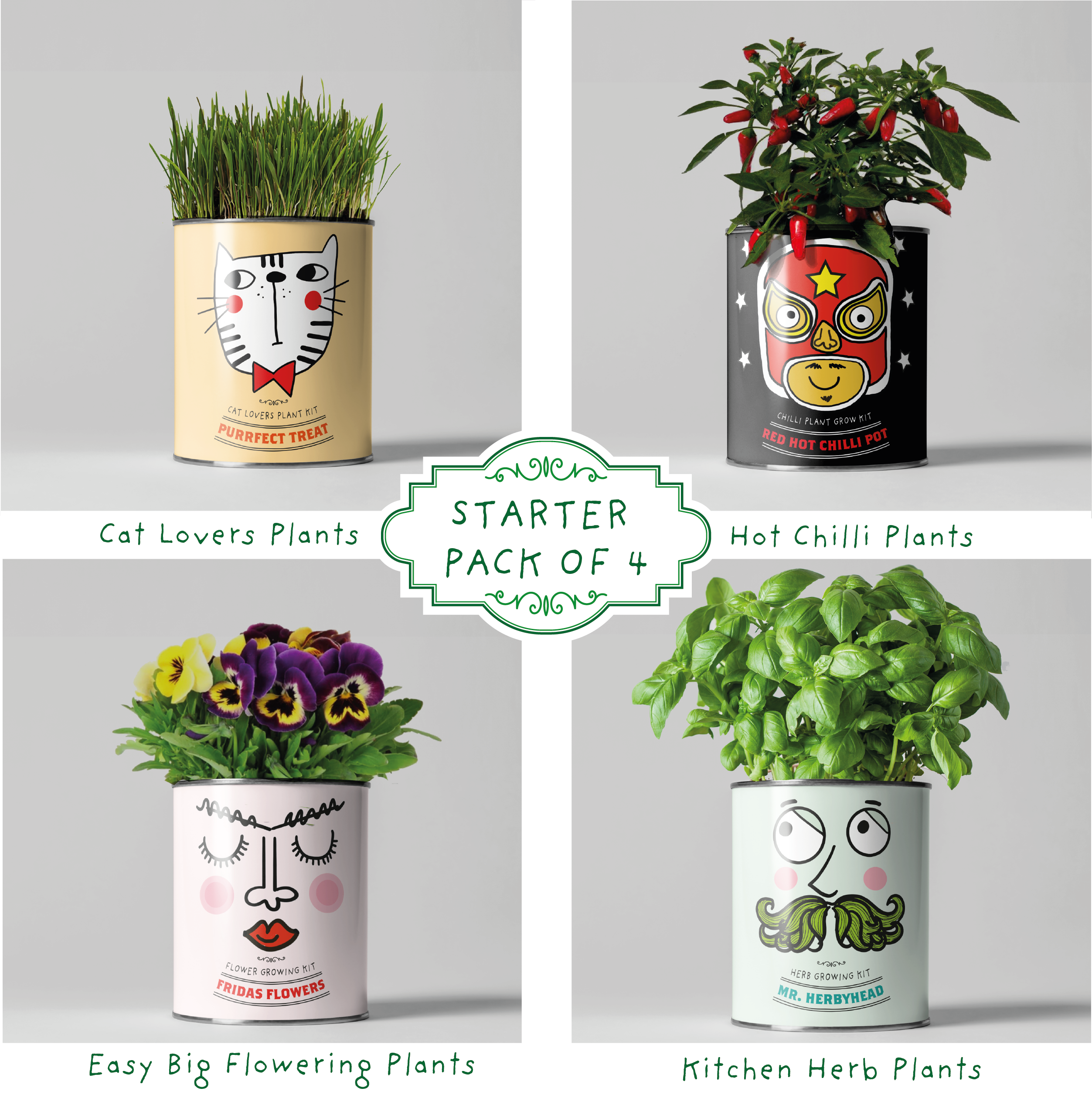 Retailer starter 4 pack Chilli, Cat, Flower and Herb