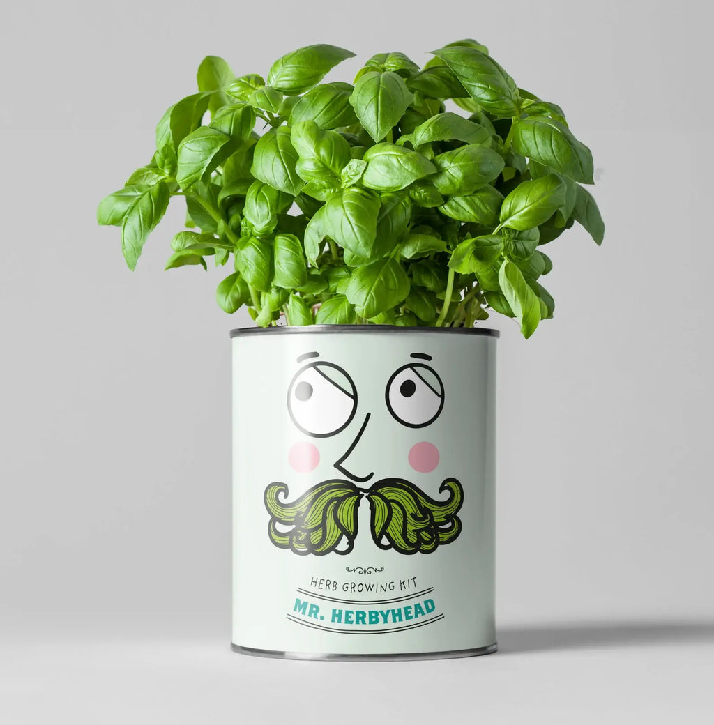 Retailer starter 4 pack Chilli, Cat, Flower and Herb