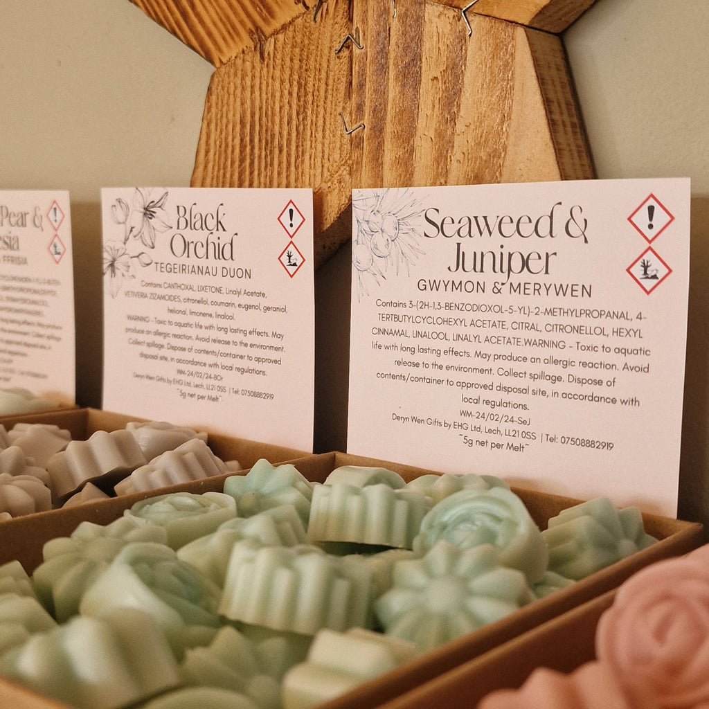 Seaweed & Juniper Wax Melt Mini Box