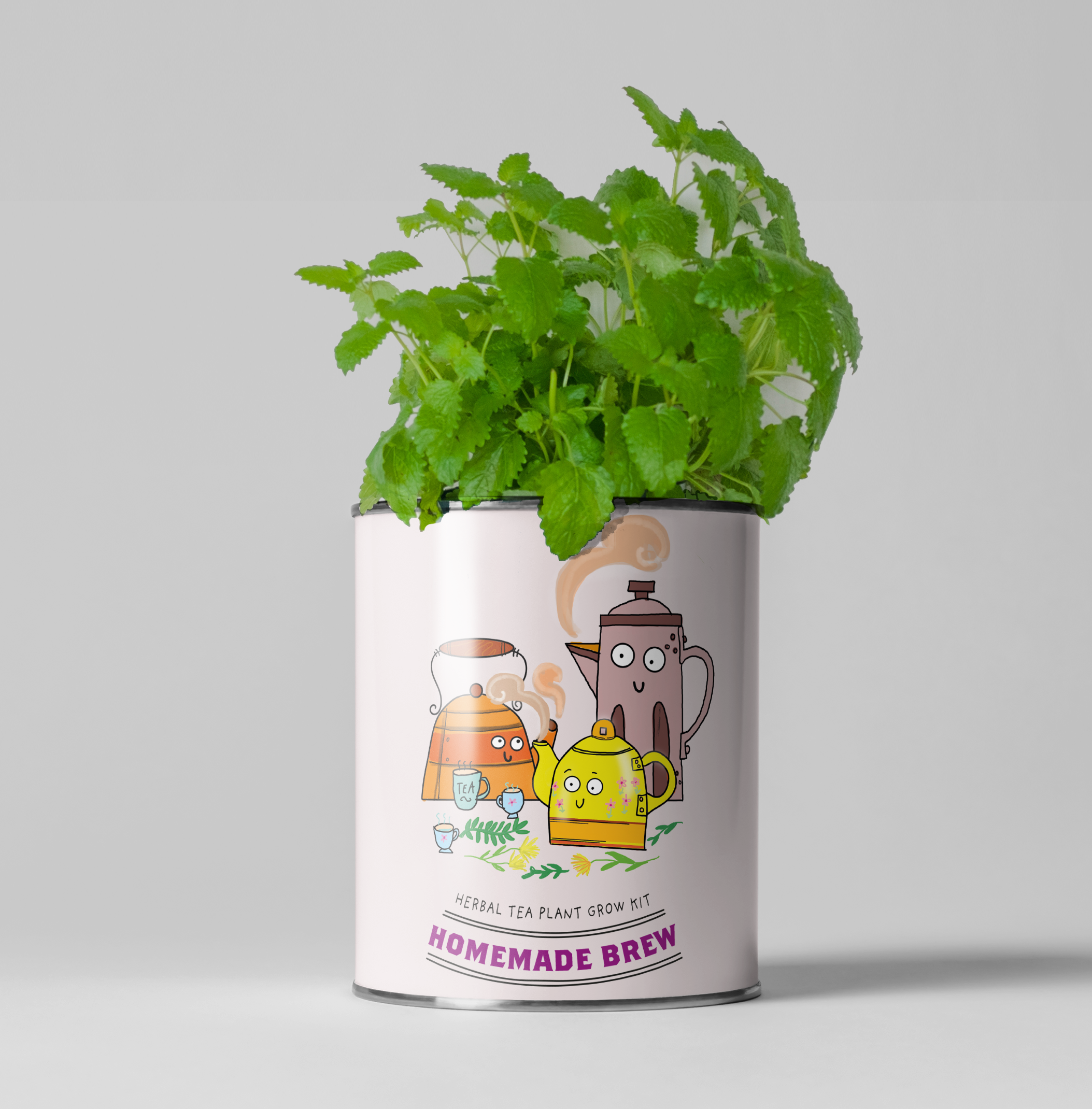 Retailer Starter 4 Pack. Cacti, Bee Flowers, Tea and Love.