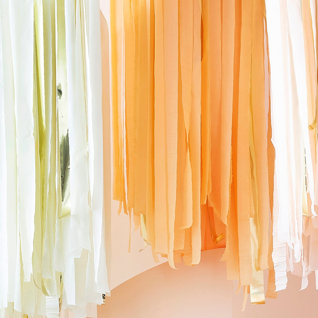 Peach and Gold Hanging Streamer Party Backdrop- 5 Inner Pack