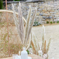 Natural Pampas Grass Decorations- 5 Inner Pack