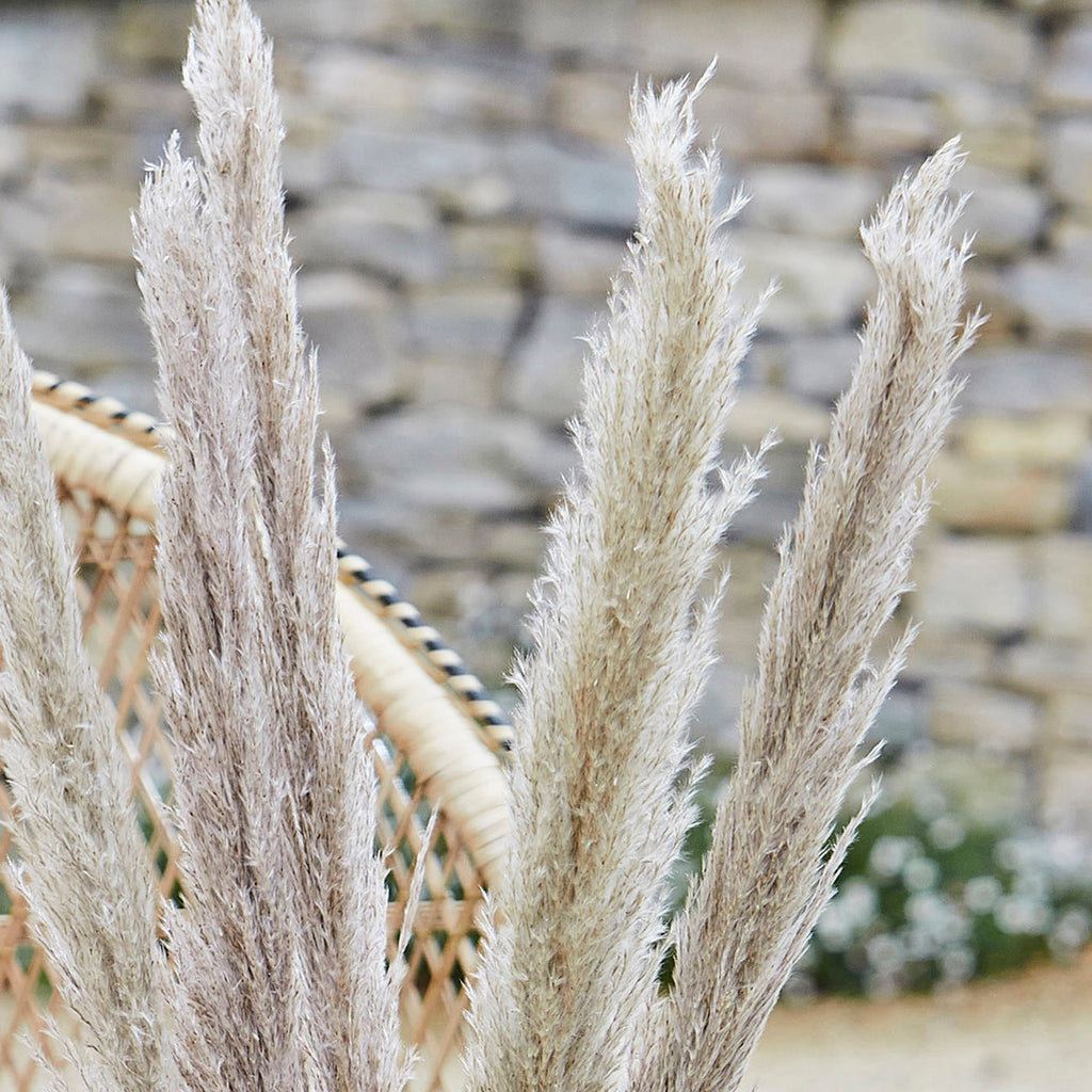 Natural Pampas Grass Decorations