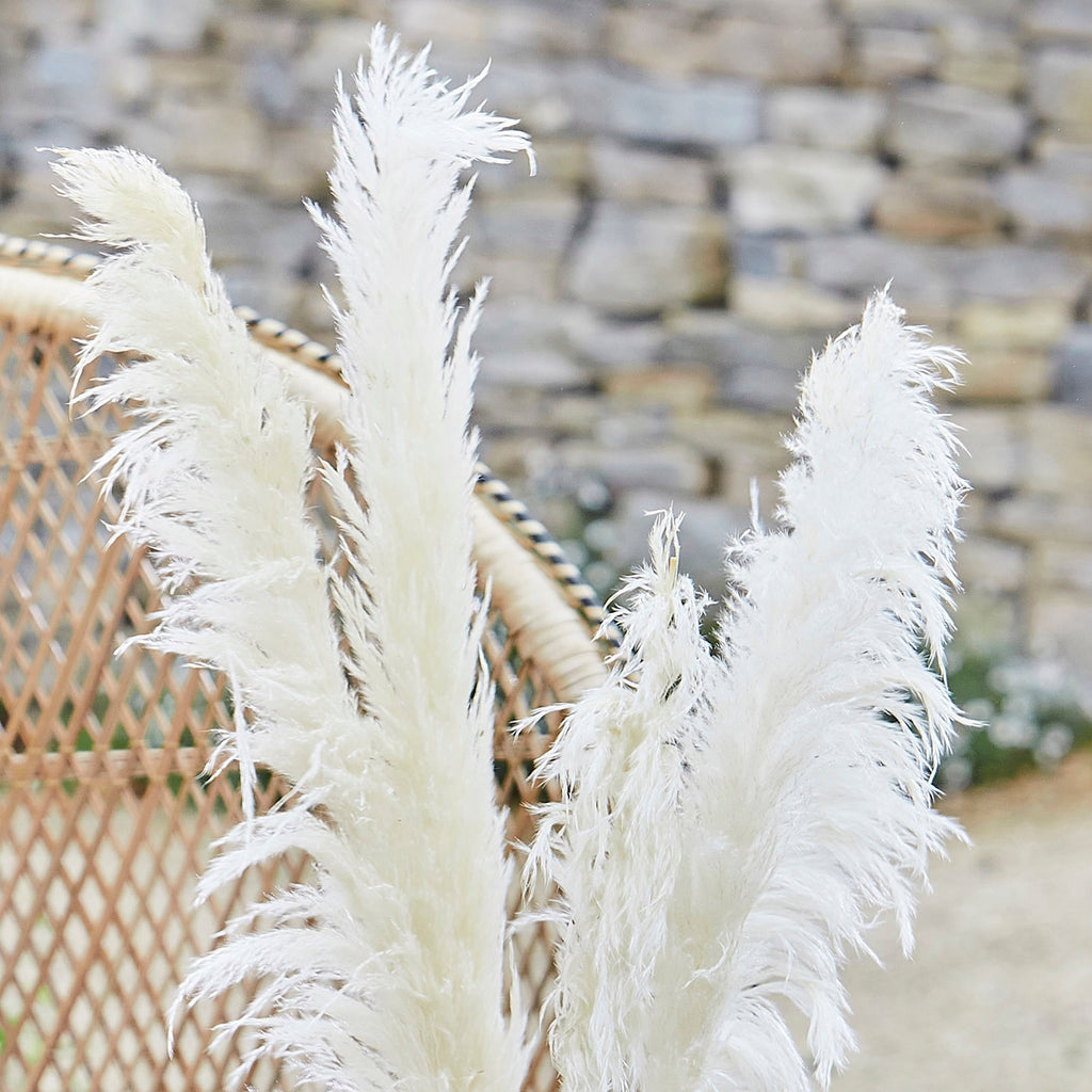 Bleached Pampas Grass Decorations- 5 Inner Pack