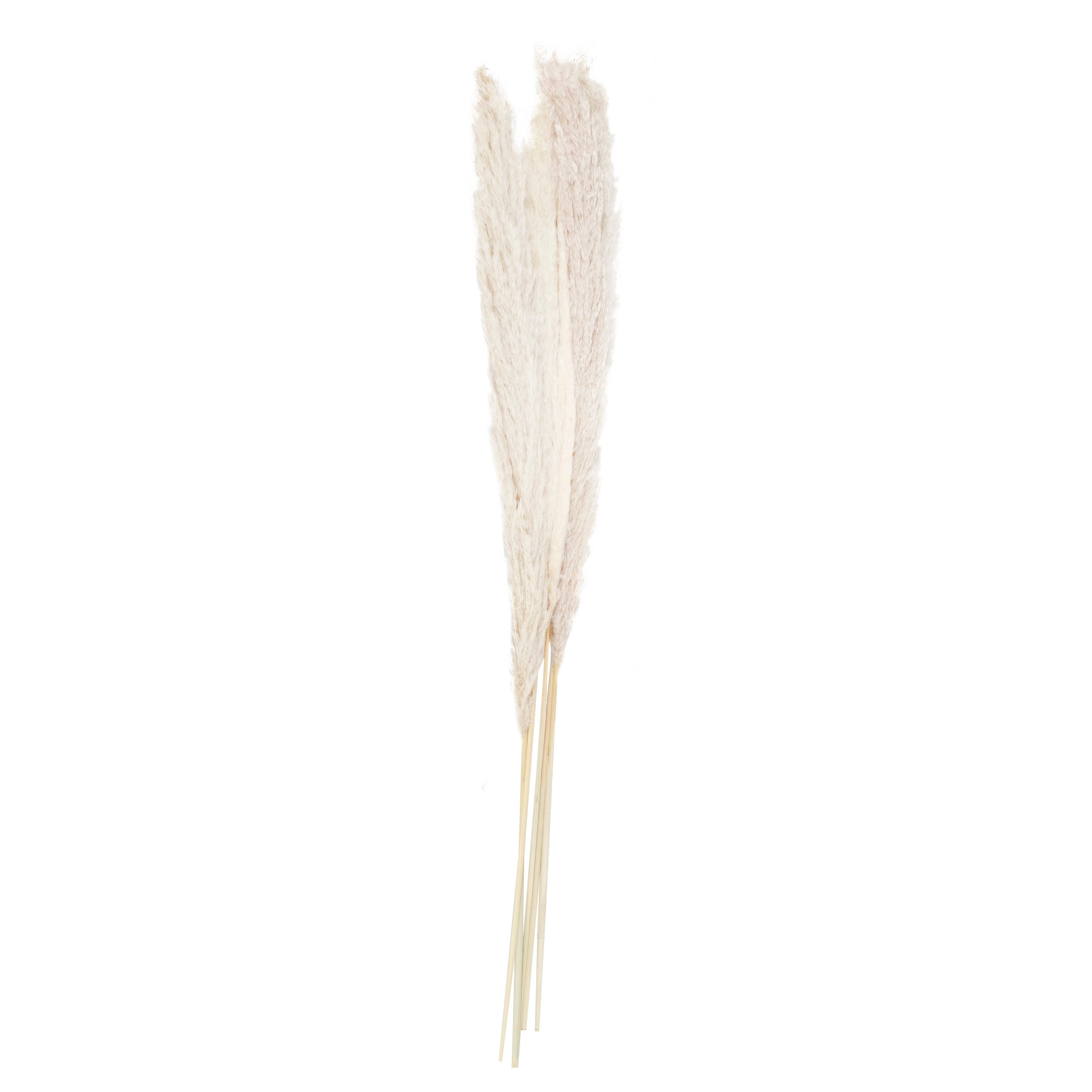 Bleached Pampas Grass Decorations- 5 Inner Pack