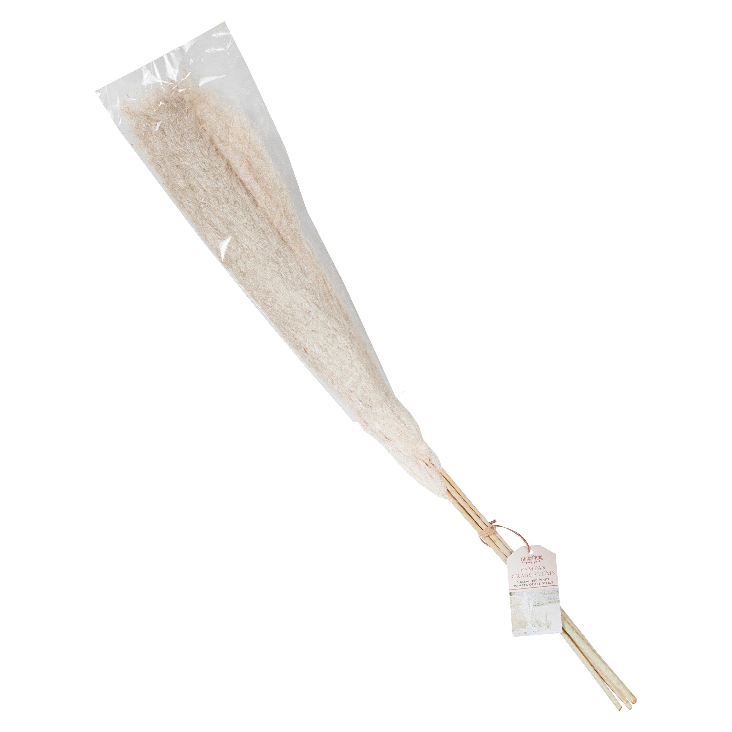 Bleached Pampas Grass Decorations