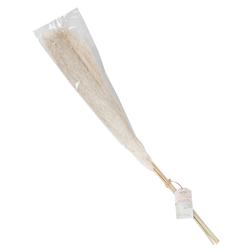 Bleached Pampas Grass Decorations- 5 Inner Pack