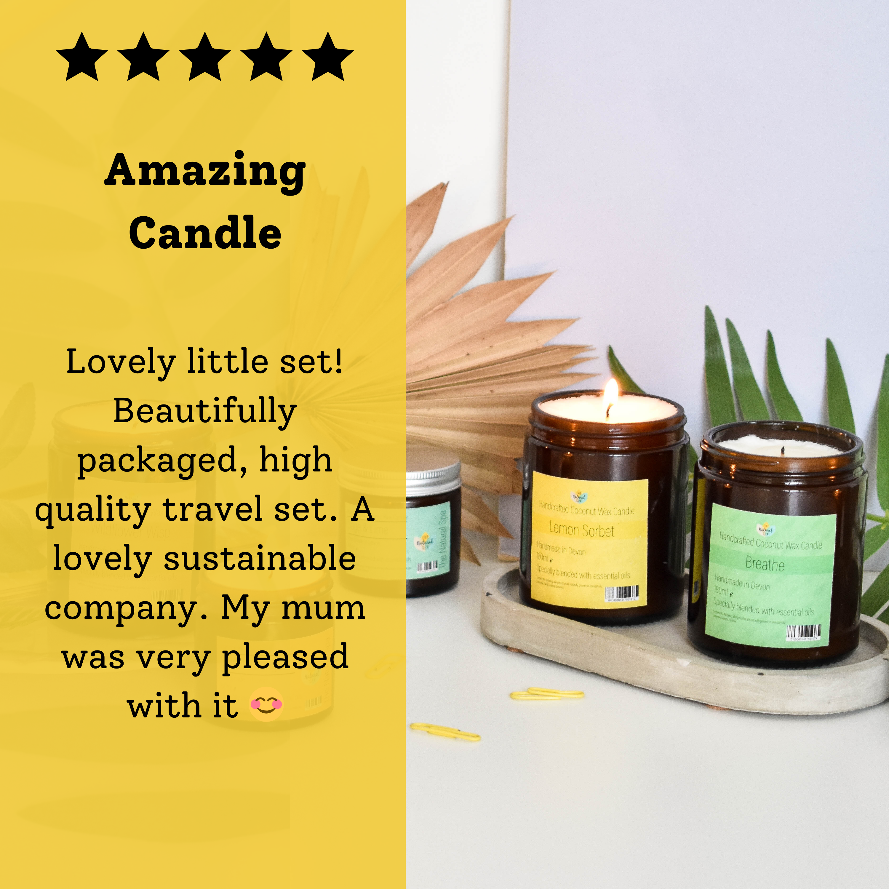 Lemon Sorbet Hand-Poured Coconut Wax Candle | Citrus & Natural Aromatherapy | Vegan, Eco-Friendly Candle | 2 Size Options