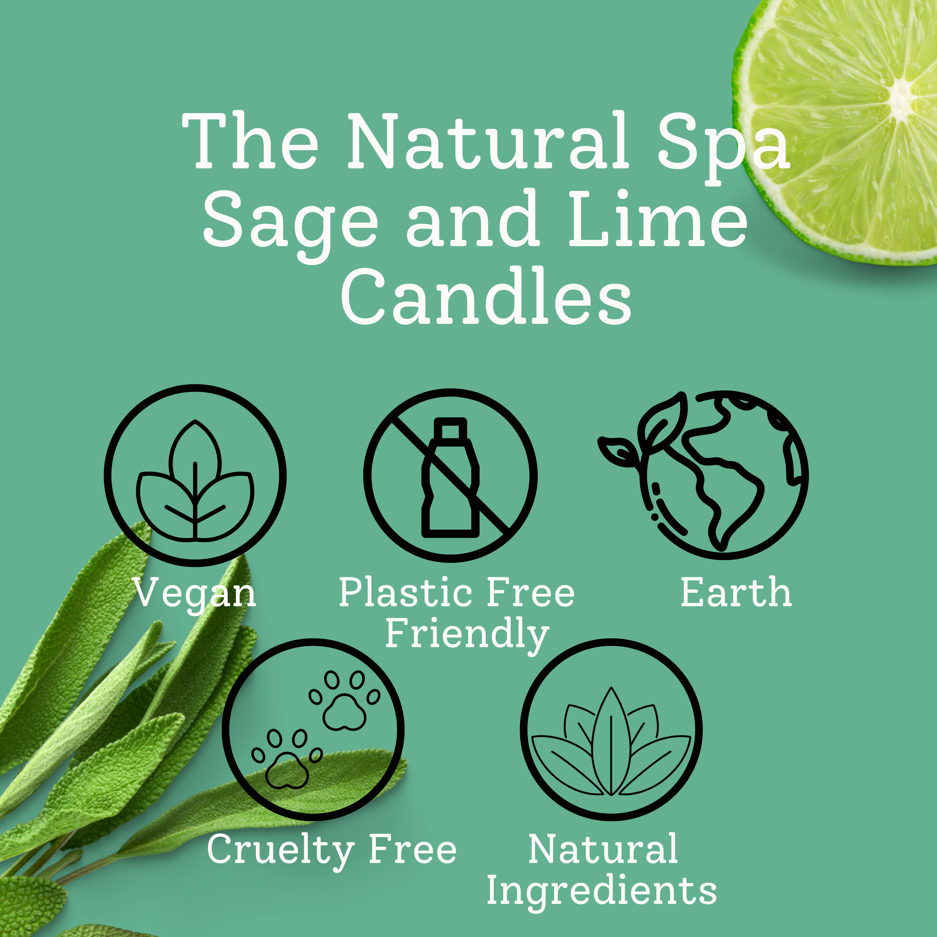 Sage & Lime hand poured coconut wax candle - 2 size options