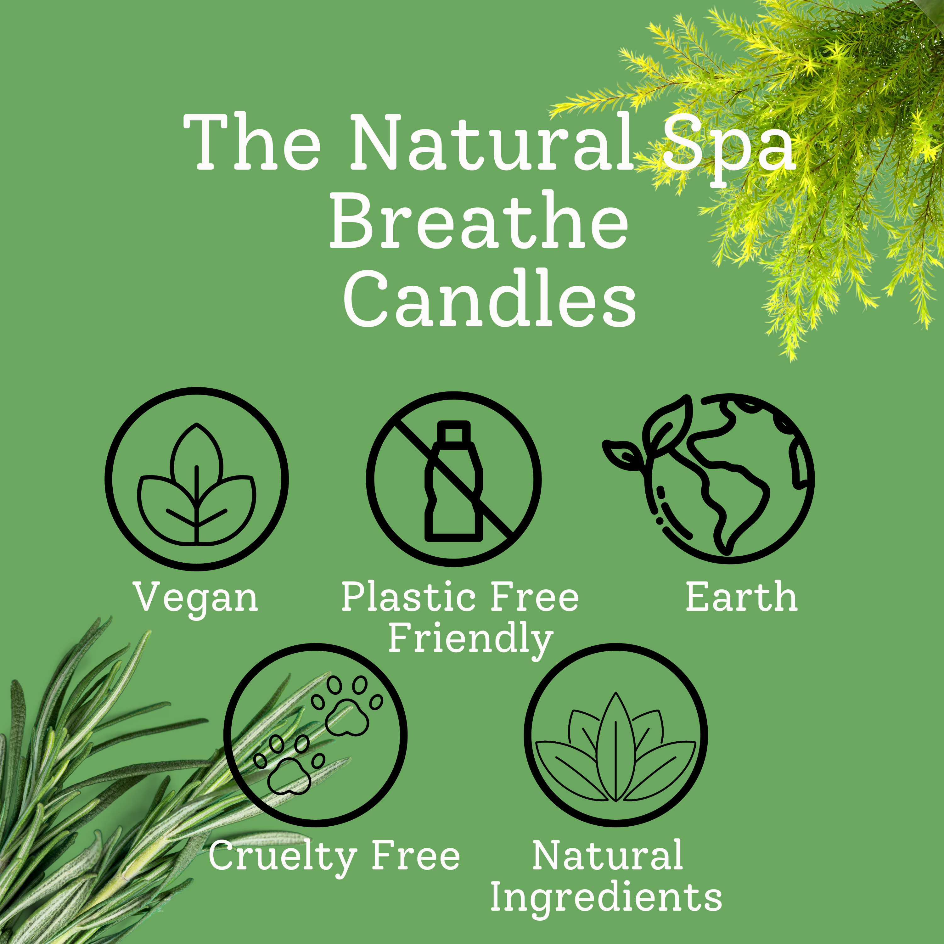 Breathe Hand-Poured Coconut Wax Candle | Natural Aromatherapy Candle | 2 Size Options