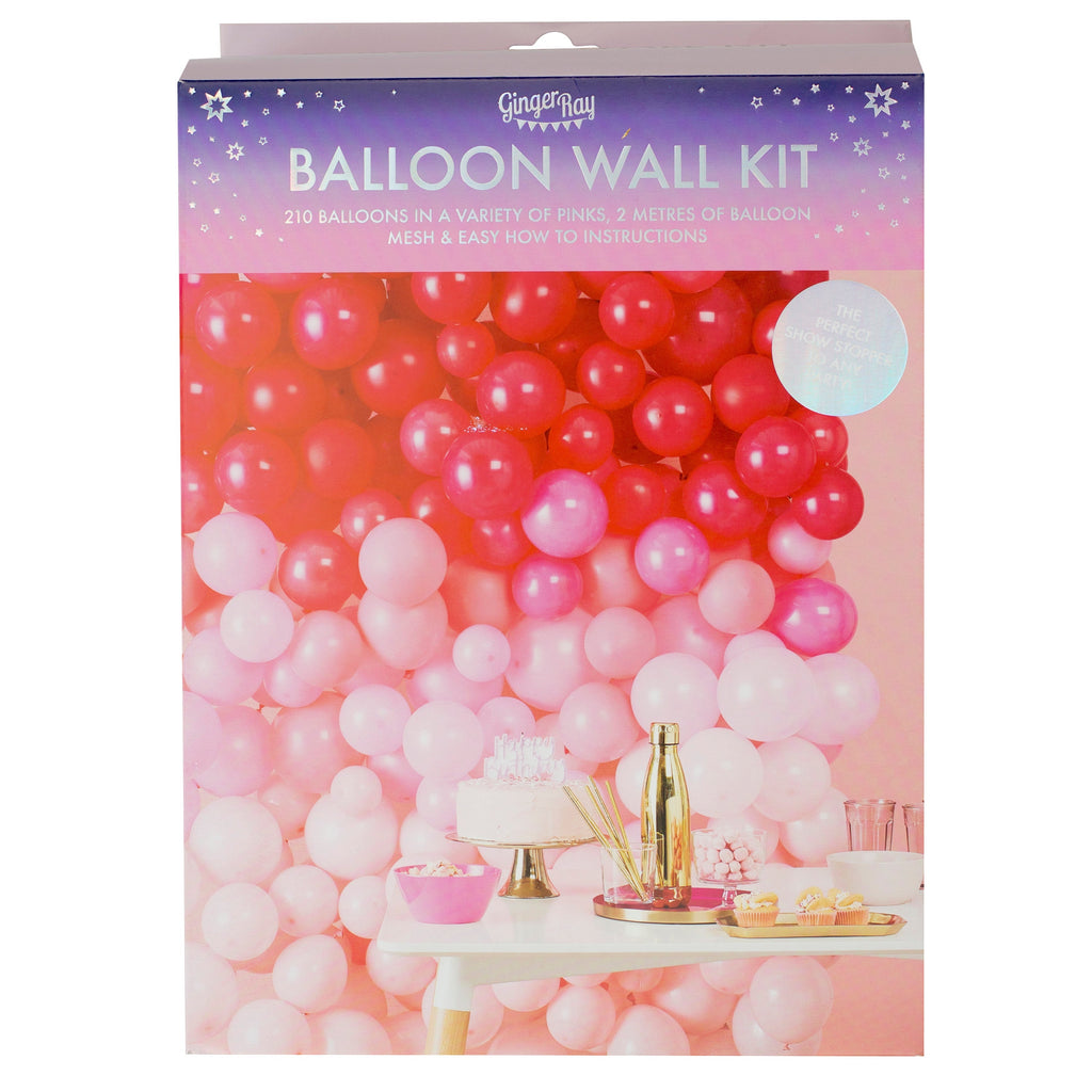 Ombre Pink Balloon Wall Decoration- 5 Inner Pack