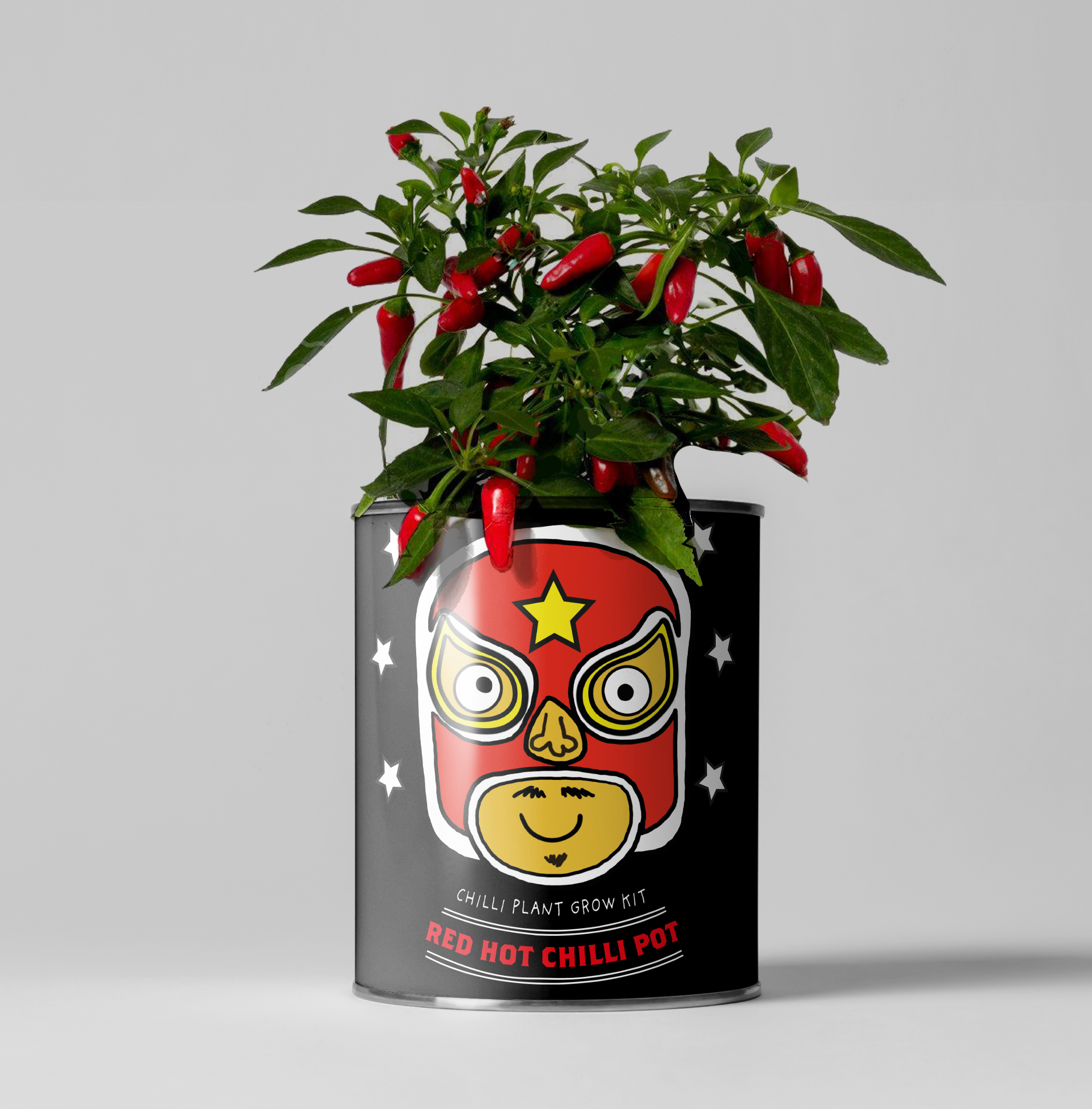Retailer starter 4 pack Chilli, Cat, Flower and Herb