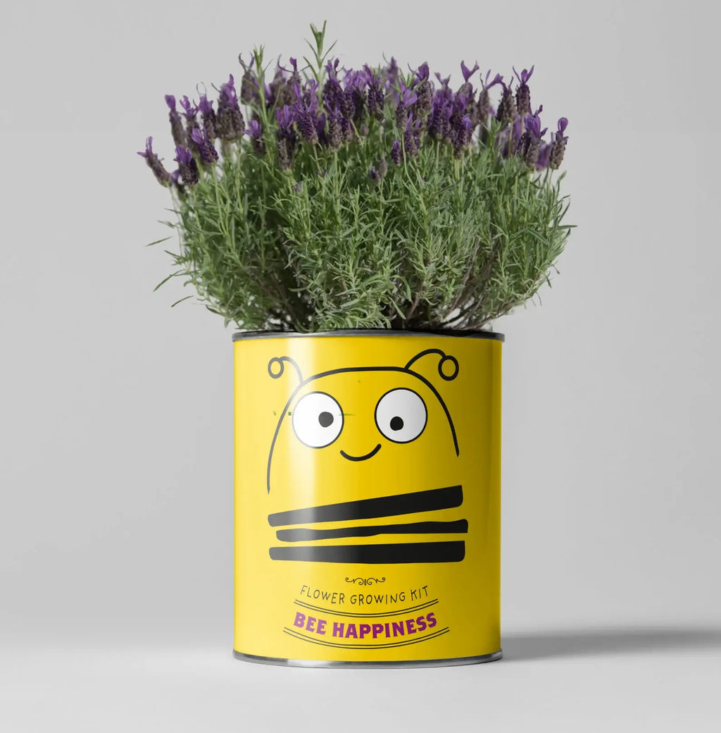 Retailer Starter 4 Pack. Cacti, Bee Flowers, Tea and Love.