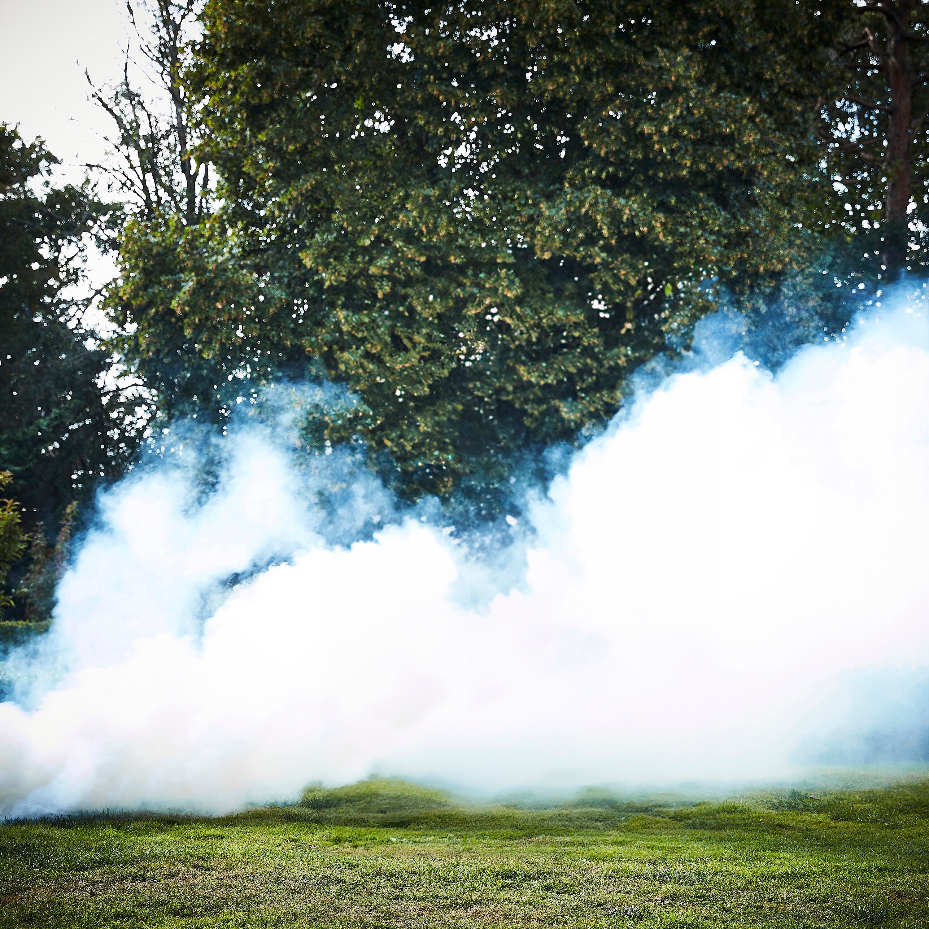 White Wedding Smoke Bomb