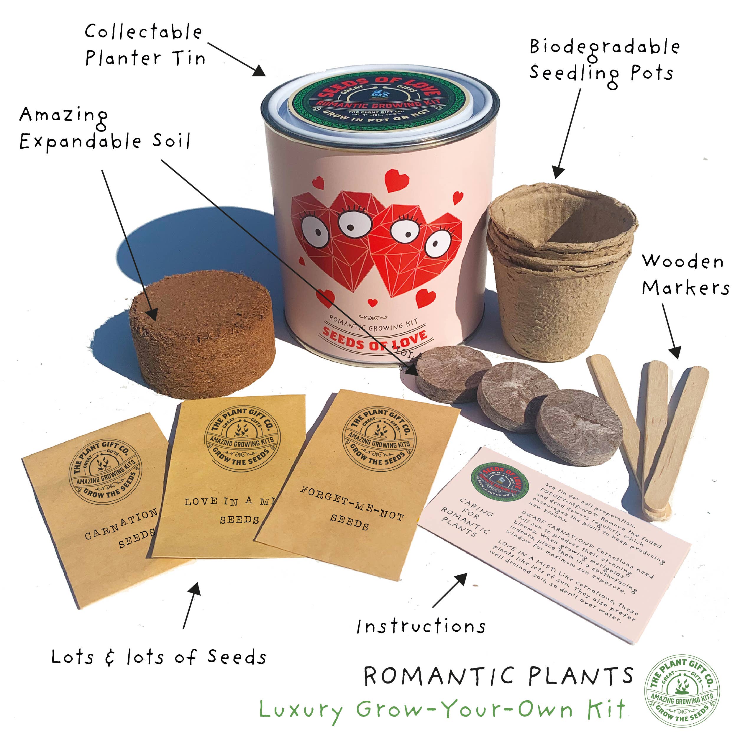 Retailer Starter 4 Pack. Cacti, Bee Flowers, Tea and Love.