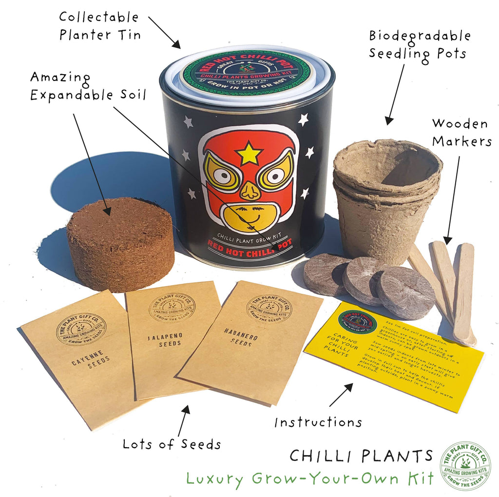 Retailer starter 4 pack Chilli, Cat, Flower and Herb