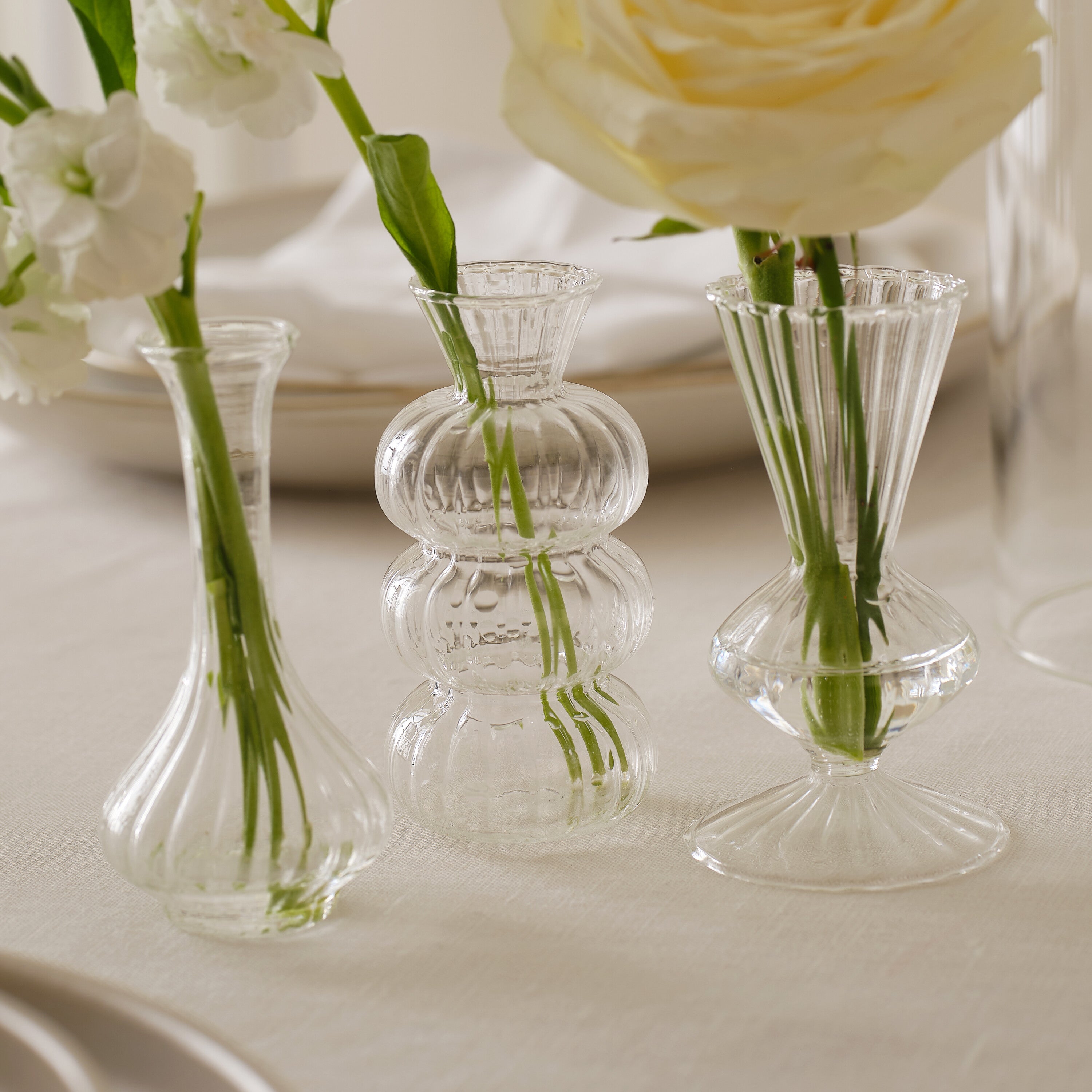 Shaped Clear Glass Bud Vases- 1 Inner Pack