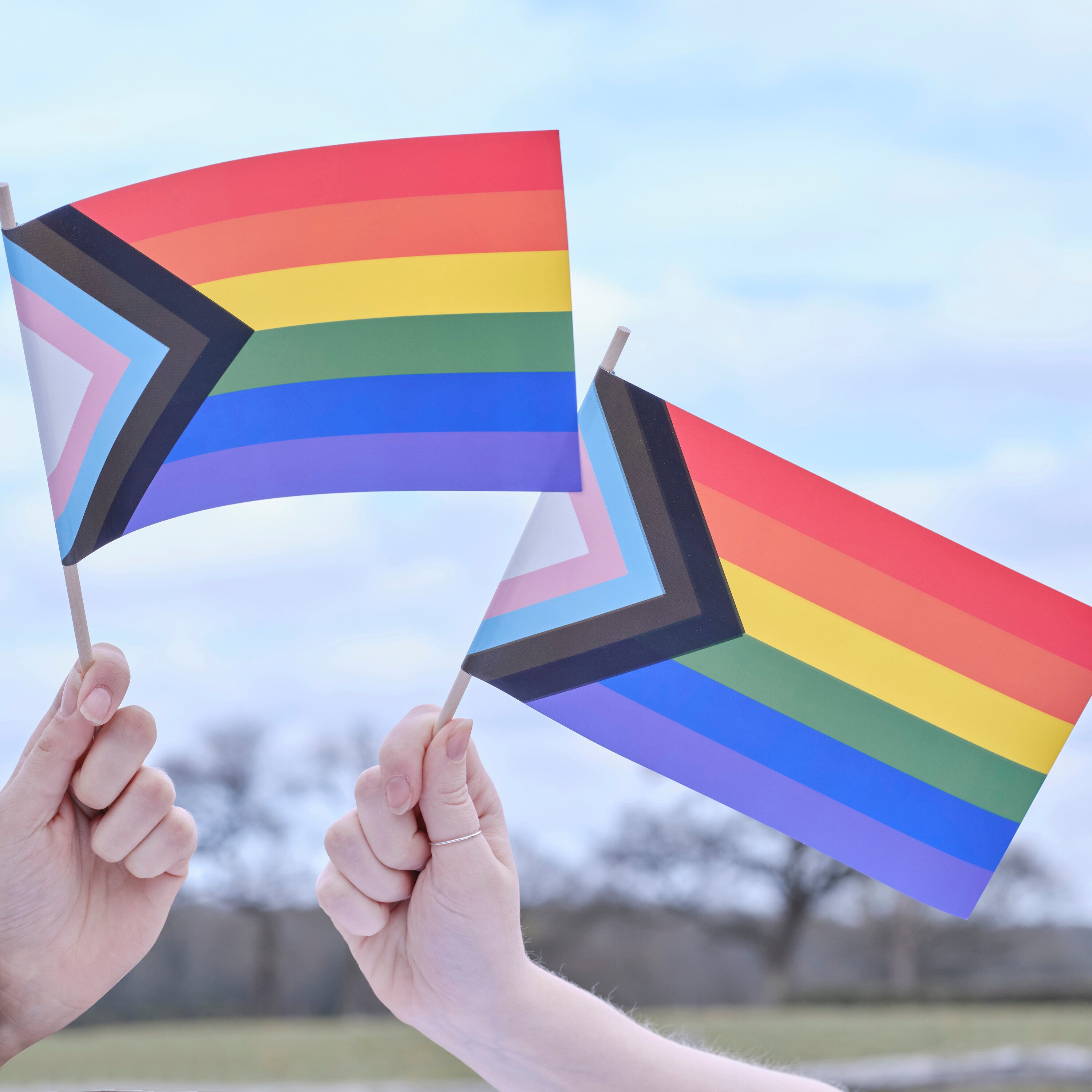 Handheld Pride Flag- 5 Inner Pack