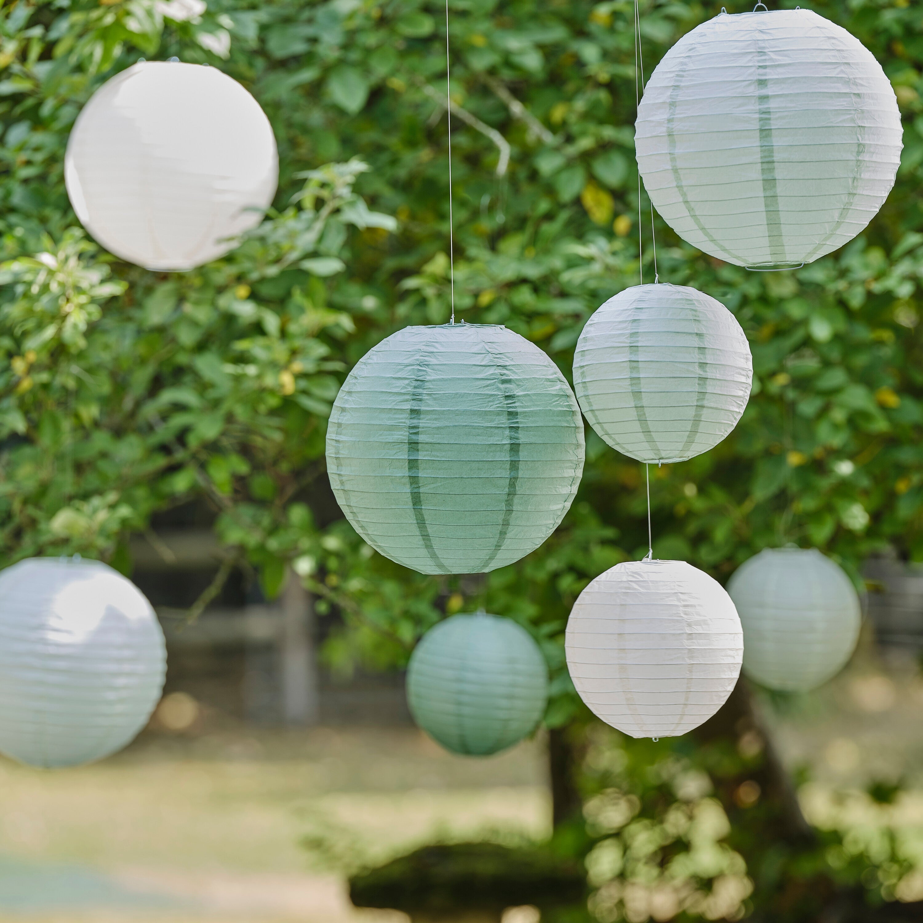 Sage & Cream Paper Lantern Hanging Decorations- 5 Inner Pack